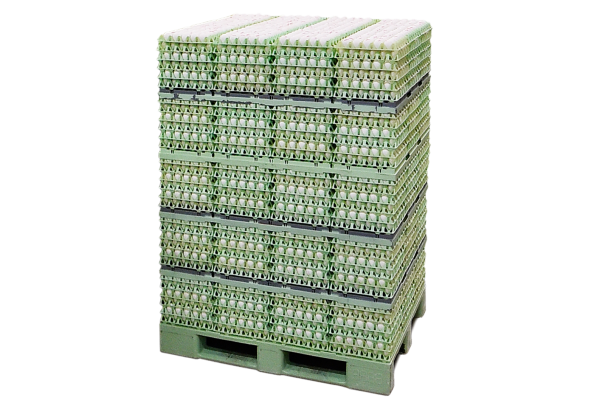 verse eieren, verse scharrel eieren, verse kooi eieren, verse bio eieren, verse vrije uitloop eieren, vers ei, grote hoeveelheid verse eieren, bio ei, scharrel ei, vrije uitloop ei, ei in doos, ei klasse l, ei klasse m, fresh eggs, eggs, organic